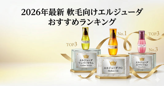 【2026年最新】軟毛向けエルジューダおすすめランキング！プロ厳選の3選を比較